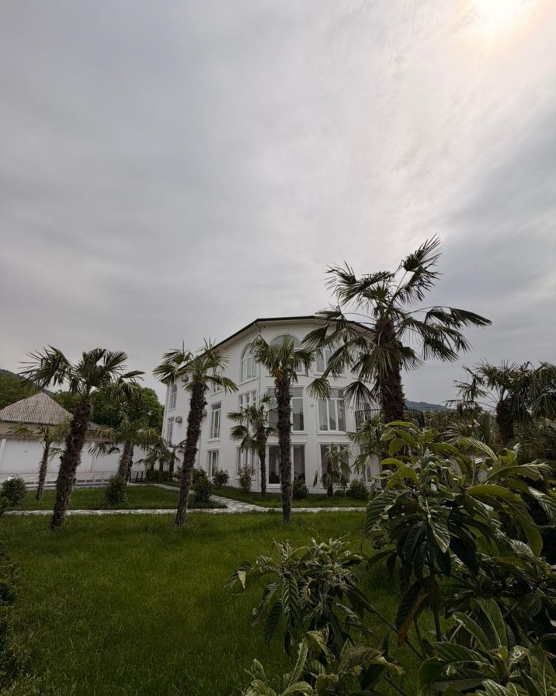 Villa garden